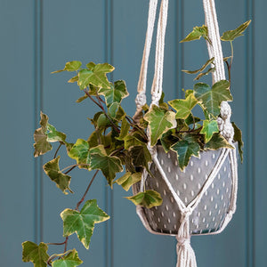 'Macrame' Indoor Hanging Plant Pot