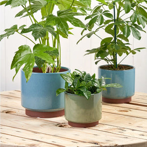 Malibu Stoneware Indoor Plant Pot