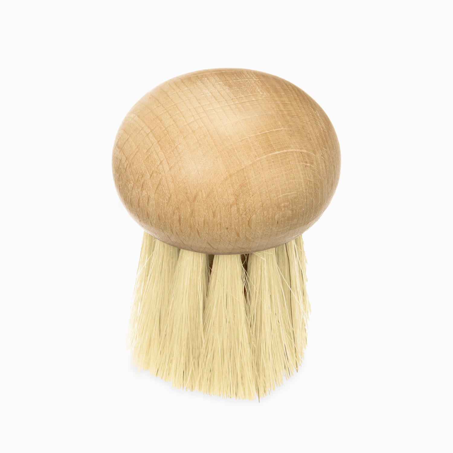 Mushroom Brushes