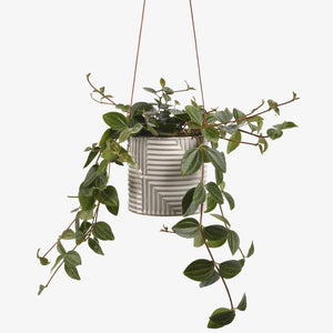 Modena Hanging Plant Pot