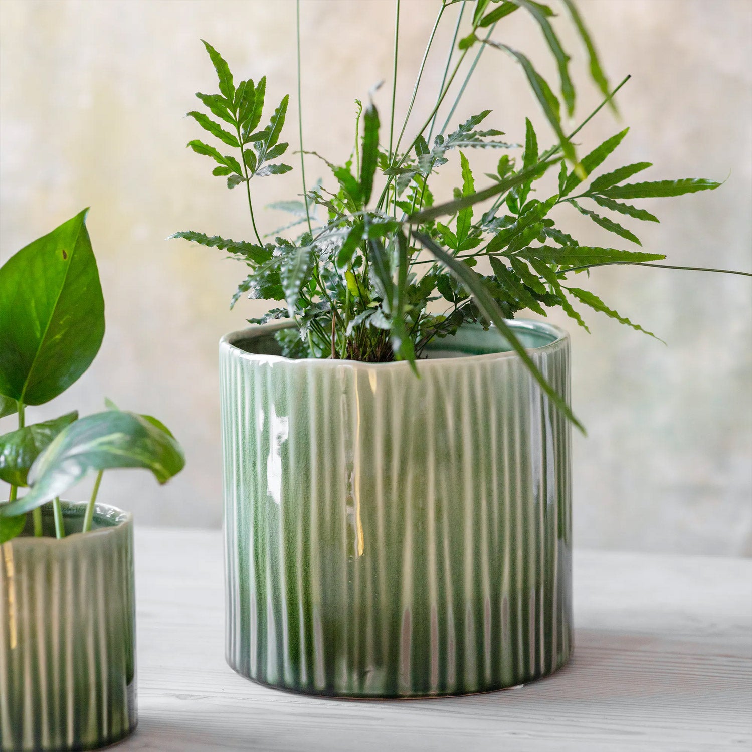 Nettleton Ceramic Indoor Plant Pots