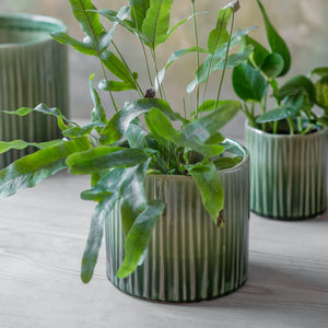 Nettleton Ceramic Indoor Plant Pots