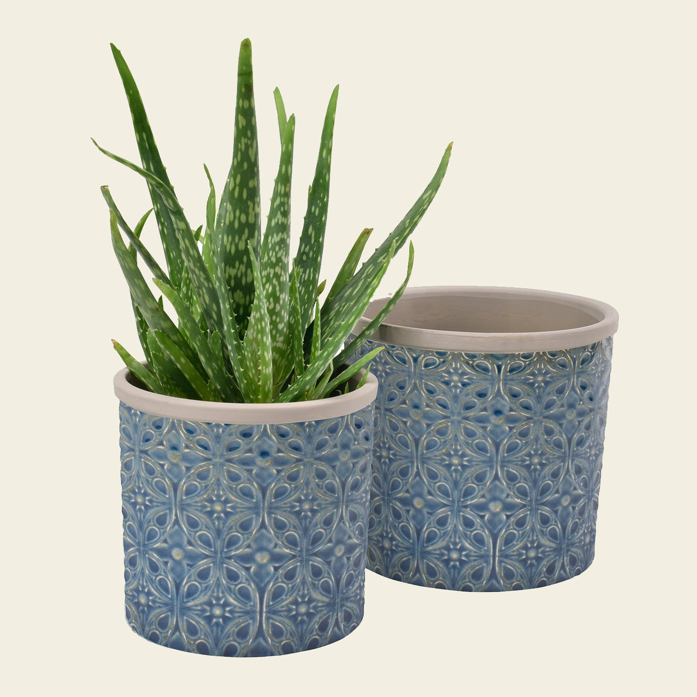 Porto -inspired Indoor Plant Pots