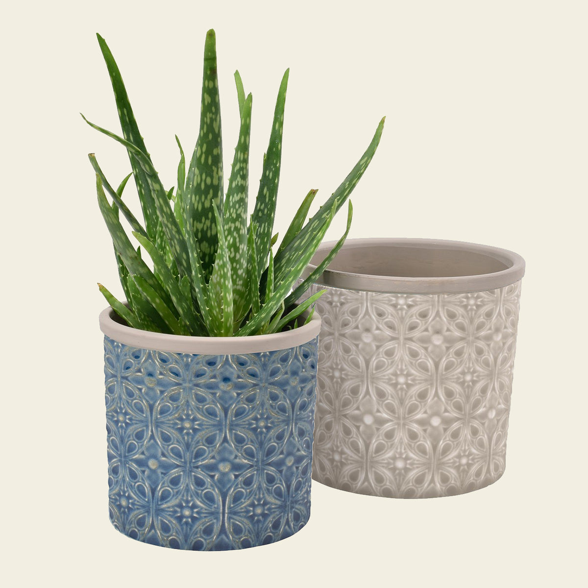 Porto -inspired Indoor Plant Pots