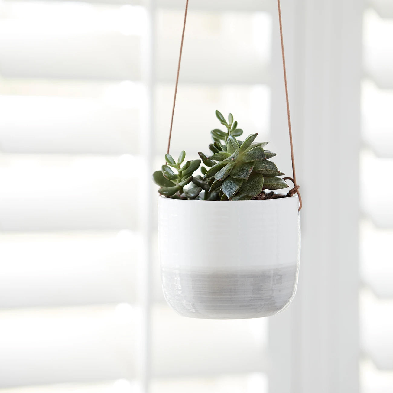 Ripple Indoor Hanging Plant Pot