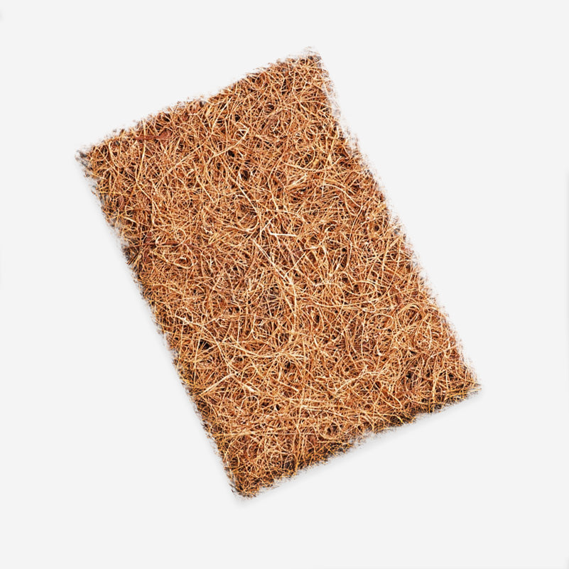 Coconut Kitchen Scrub Pad