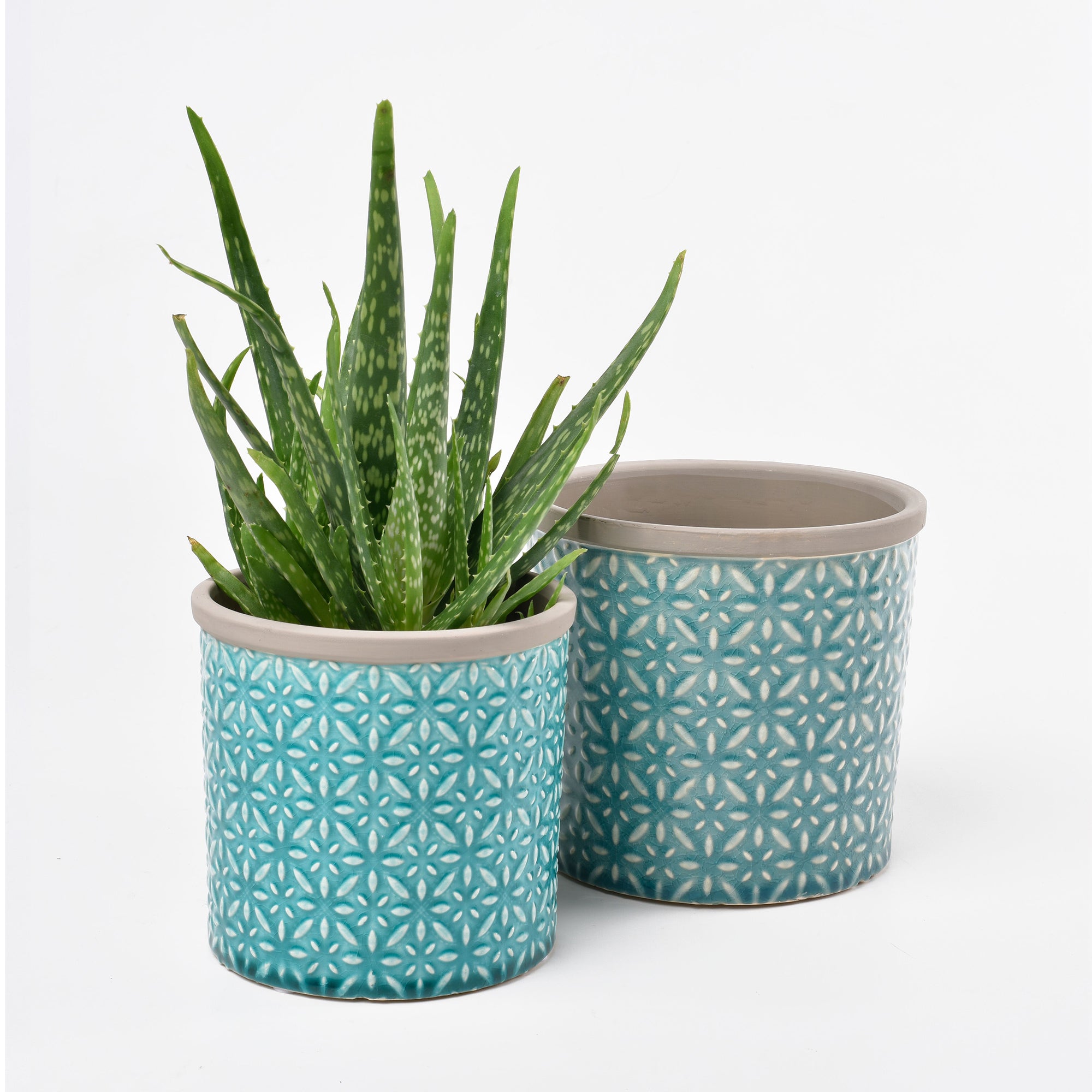 Tuscany -inspired Indoor Plant Pot